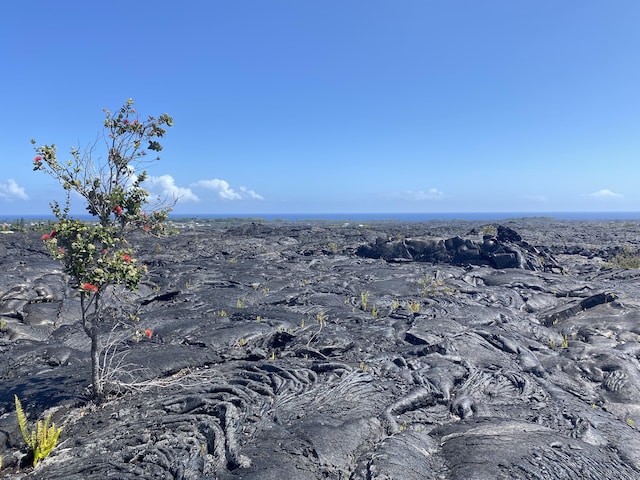 Kaimu-Chain Of Craters Rd, Pahoa, HI 96778 - photo 2