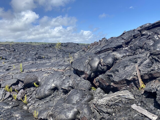 Kaimu-Chain Of Craters Rd, Pahoa, HI 96778 - photo 4