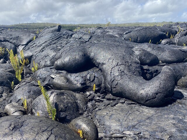 Kaimu-Chain Of Craters Rd, Pahoa, HI 96778 - photo 5