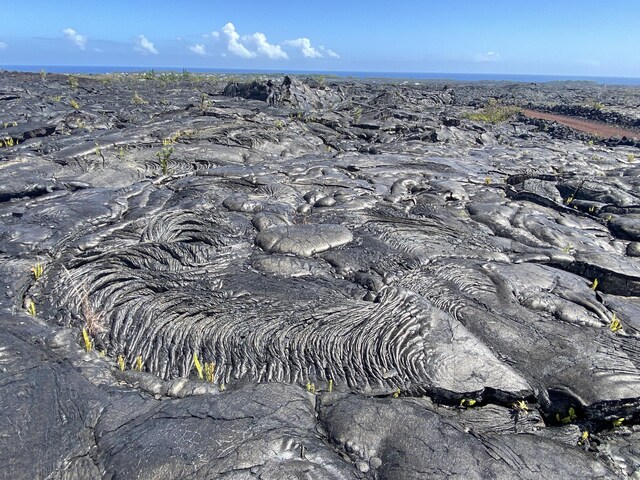 Kaimu-Chain Of Craters Rd, Pahoa, HI 96778 - photo 6