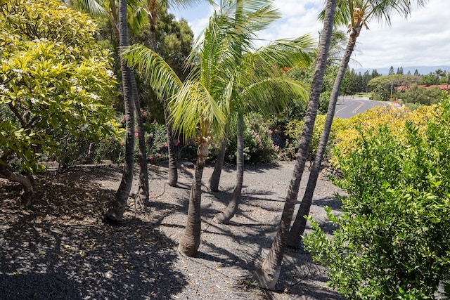 68-1853 W Kaupapa Pl, Waikoloa, HI 96738 - view of undeveloped land