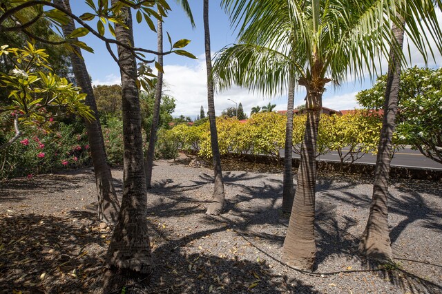68-1853 W Kaupapa Pl, Waikoloa, HI 96738 - view of yard