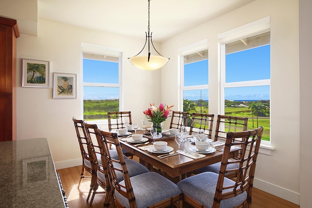 2611 Kiahuna Plantation Dr Unit 13B, Koloa, HI 96756 - dining area with baseboards, plenty of natural light, and light wood-style floors