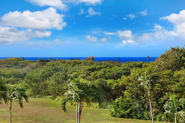 2611 Kiahuna Plantation Dr Unit 13B, Koloa, HI 96756 - water view