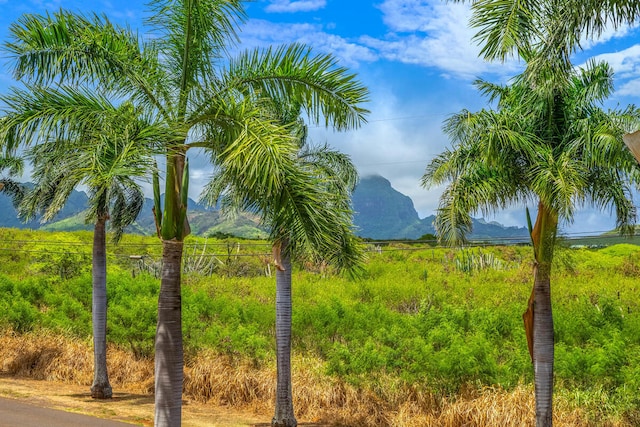 2611 Kiahuna Plantation Dr Unit 4G, Koloa, HI 96756 - view of yard featuring a mountain view
