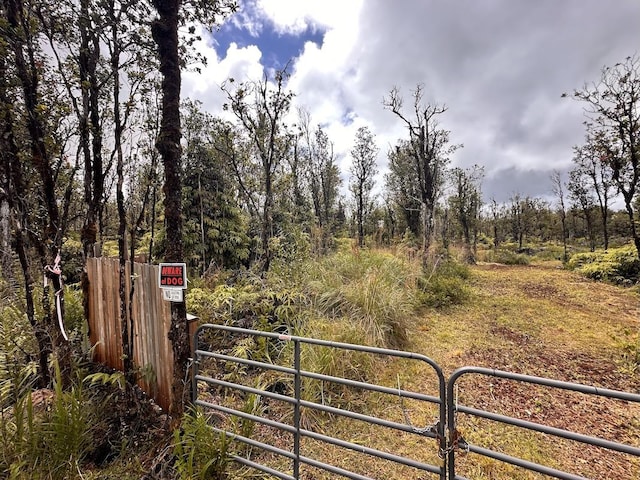 Mahina St, Mountain View, HI 96771