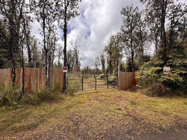 Mahina St, Mountain View, HI 96771