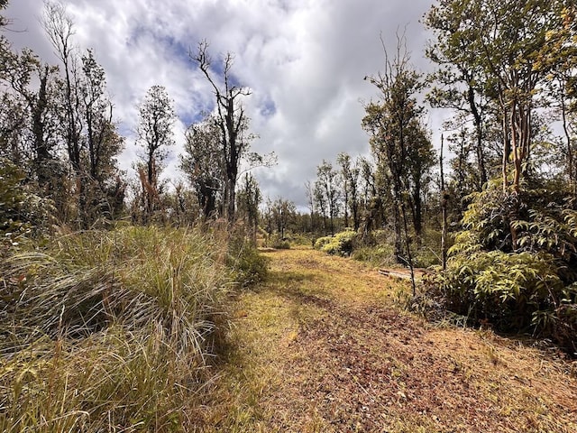 Mahina St, Mountain View, HI 96771