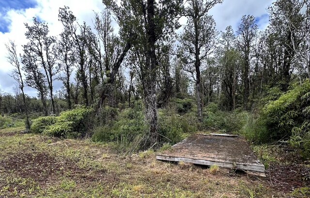 Mahina St, Mountain View, HI 96771