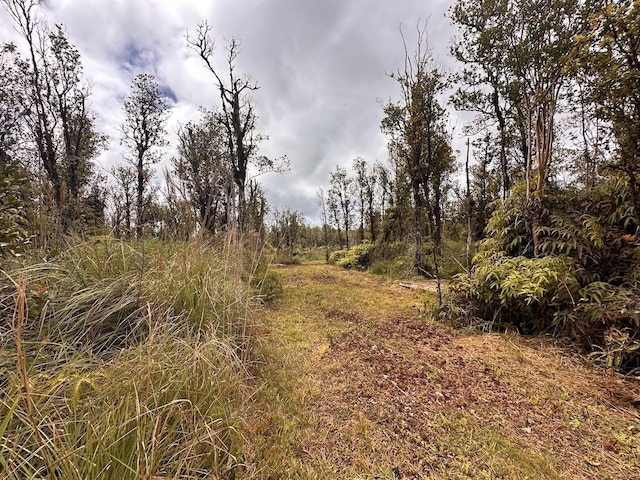 Mahina St, Mountain View, HI 96771