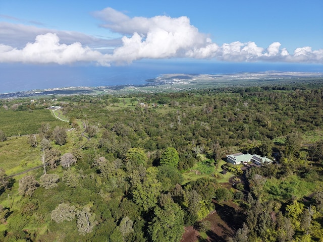 76-1255 Waiono Ranch Rd, Holualoa, HI 96725 - photo 30