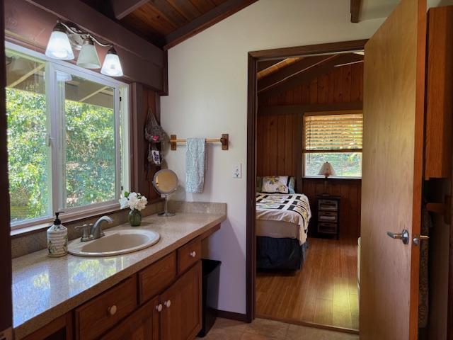 48-5441 Kukuihaele Rd, Honokaa, HI 96727 - bathroom featuring lofted ceiling, vanity, plenty of natural light, and wood ceiling