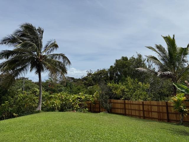48-5441 Kukuihaele Rd, Honokaa, HI 96727 - view of yard