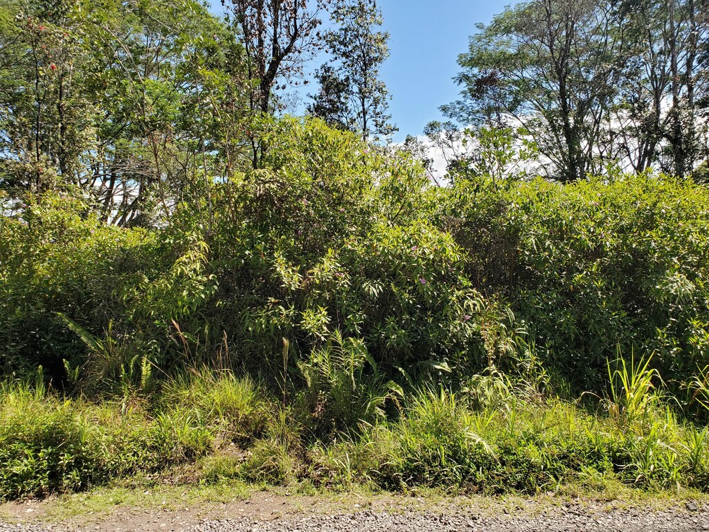 37th Ave, Kurtistown, HI 96760 - photo 1
