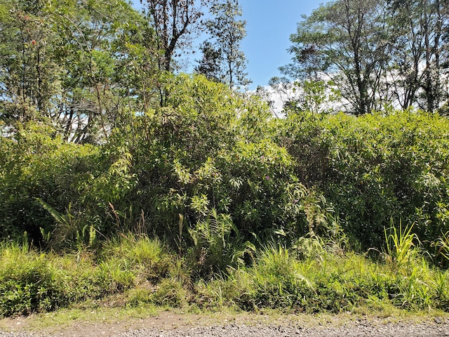 37th Ave, Kurtistown, HI 96760 - photo 1
