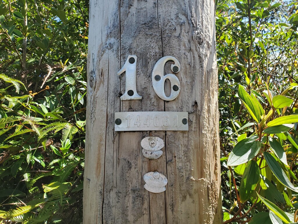37th Ave, Kurtistown, HI 96760 - photo 2