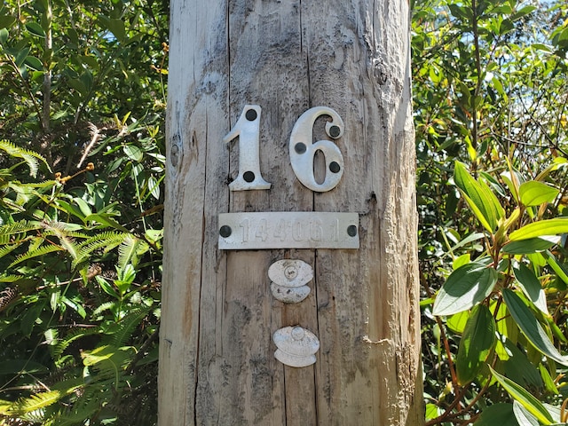 37th Ave, Kurtistown, HI 96760 - photo 2