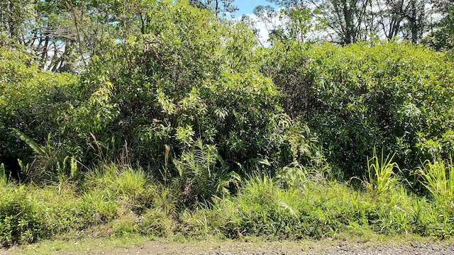 37th Ave, Kurtistown, HI 96760 - photo 3