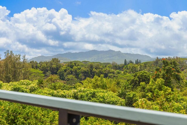 2471 Liliuokalani St, Kilauea, HI 96754 - photo 9