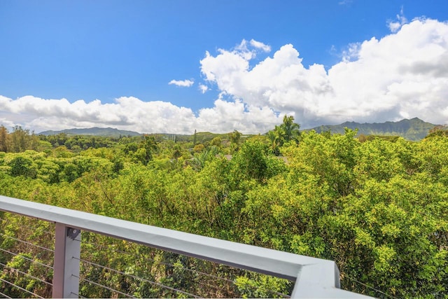 2471 Liliuokalani St, Kilauea, HI 96754 - photo 4