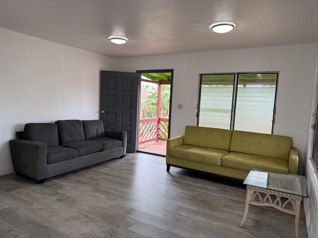 4528-B Hauaala Rd, Kapaa, HI 96746 - living area featuring wood finished floors
