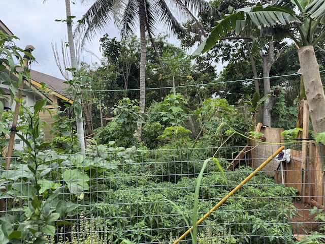 4528-B Hauaala Rd, Kapaa, HI 96746 - view of undeveloped land