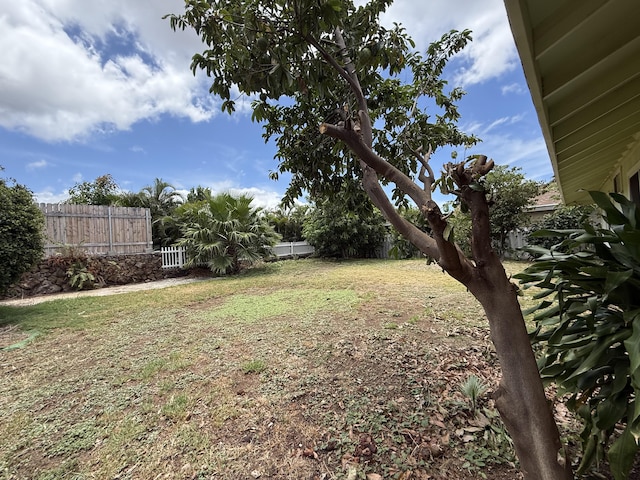 68-1736 Puwalu St, Waikoloa, HI 96738 - view of yard
