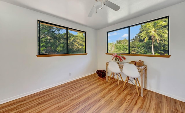 4740 Lae Rd, Kalaheo, HI 96741 - spare room featuring baseboards, healthy amount of natural light, and light wood-style flooring
