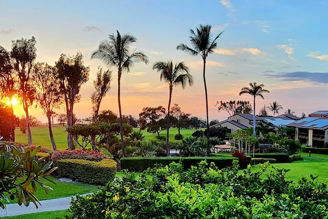 68-3840 Lua Kula St Unit D201, Waikoloa, HI 96738 - view of property's community featuring a yard