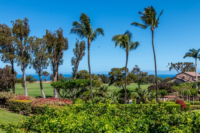 68-3840 Lua Kula St Unit D201, Waikoloa, HI 96738 - view of property's community with view of golf course