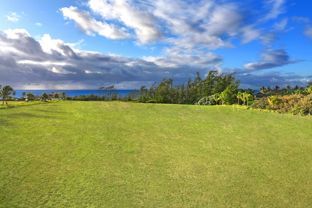 Kapoli St, Kealia, HI 96746 - photo 3