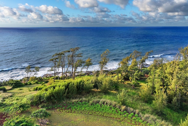 Kapoli St, Kealia, HI 96746 - photo 5
