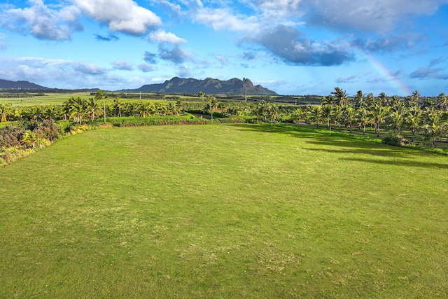 Kapoli St, Kealia, HI 96746 - photo 7