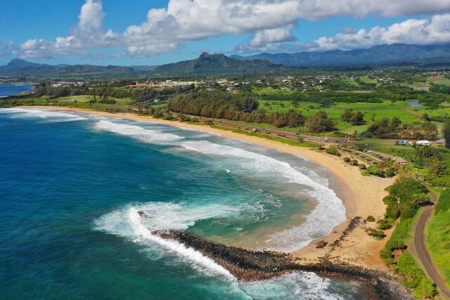 Kapoli St, Kealia, HI 96746 - photo 10