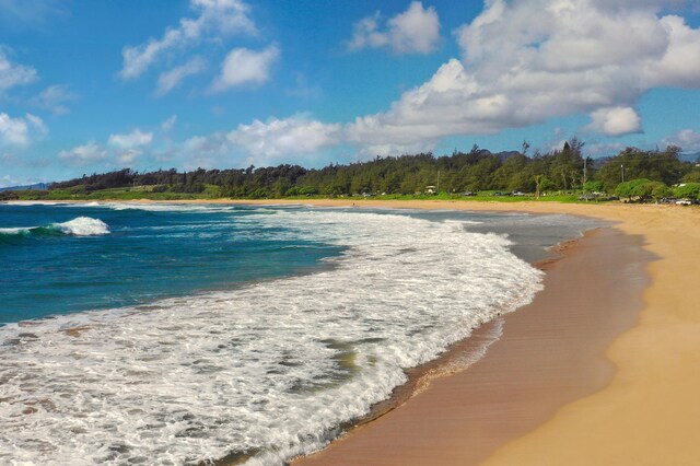 Kapoli St, Kealia, HI 96746 - photo 14