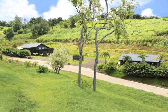 2-3161 Kaumualii Hwy Unit 2, Kalaheo, HI 96741 - view of home's community