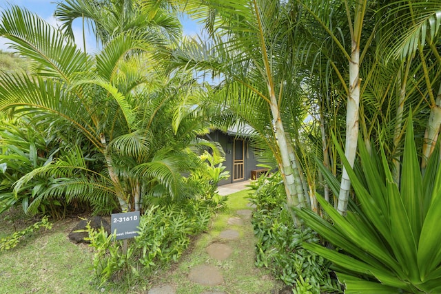 2-3161 Kaumualii Hwy Unit 2, Kalaheo, HI 96741 - view of yard