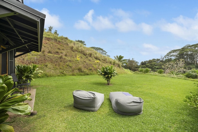2-3161 Kaumualii Hwy Unit 2, Kalaheo, HI 96741 - view of grassy yard