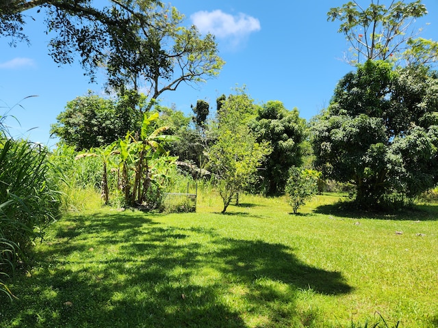 15-2687 Kaku St, Pahoa, HI 96778 - view of grassy yard