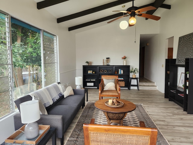 24 Uluwai St, Hilo, HI 96720 - photo 4