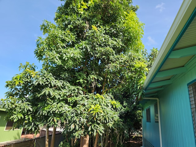 24 Uluwai St, Hilo, HI 96720 - photo 25