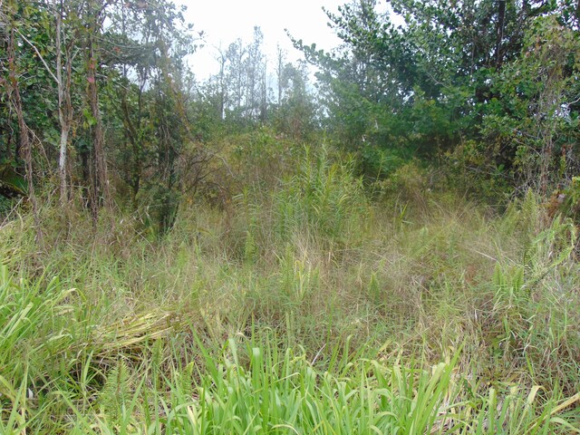 16-1947 37th Ave, Kurtistown, HI 96760 - photo 4