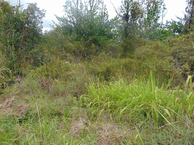 16-1947 37th Ave, Kurtistown, HI 96760 - photo 9