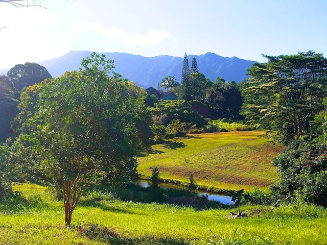 Olohena Rd Unit 3, Kapaa, HI 96746 - photo 22