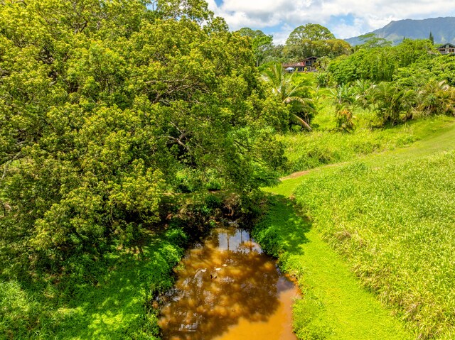 Olohena Rd Unit 3, Kapaa, HI 96746 - photo 9
