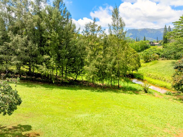 Olohena Rd Unit 3, Kapaa, HI 96746 - photo 10