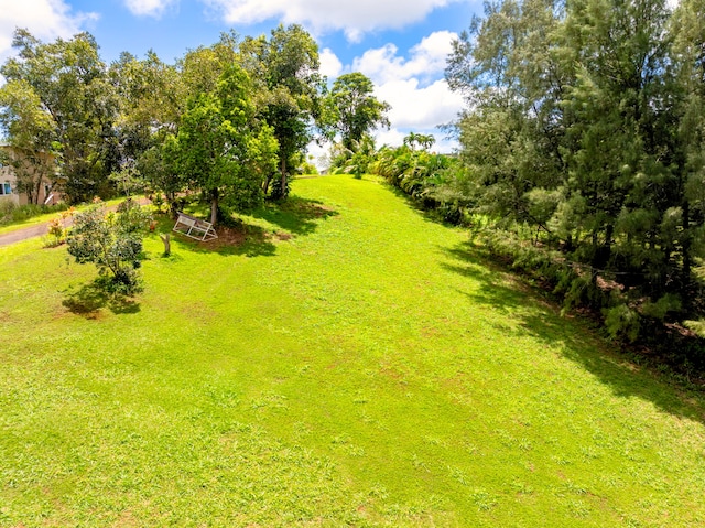 Olohena Rd Unit 3, Kapaa, HI 96746 - photo 6