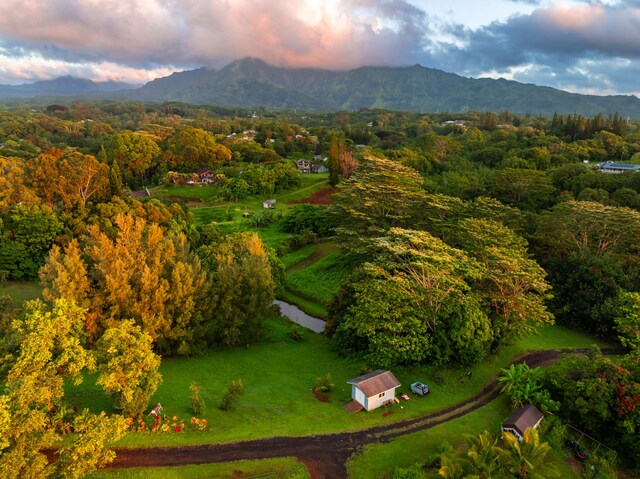 Olohena Rd Unit 3, Kapaa, HI 96746 - photo 1