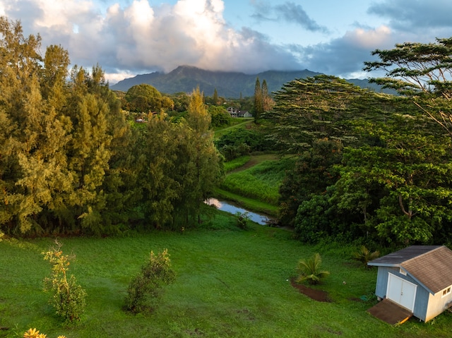 Olohena Rd Unit 3, Kapaa, HI 96746 - photo 3