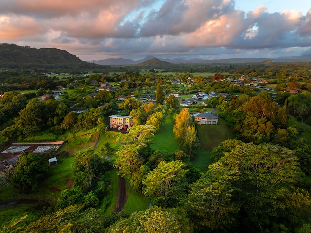 Olohena Rd Unit 3, Kapaa, HI 96746 - photo 11